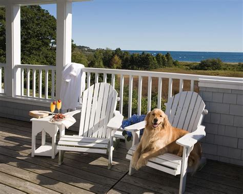 pet friendly hotels in hampton va|Pet Friendly Hotels in Hampton VA (+PET POLICIES)